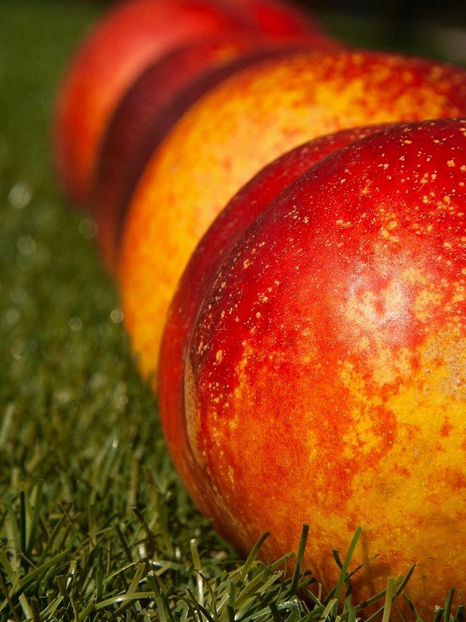 Entregas de fruta fresca a tu casa